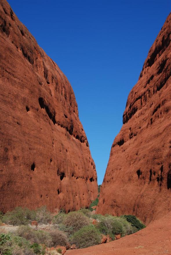 Uluru området (4)